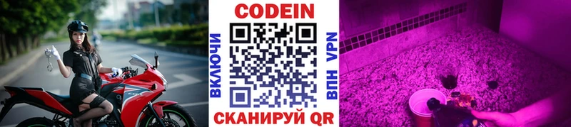 Кодеин Purple Drank  продажа наркотиков  Пудож 