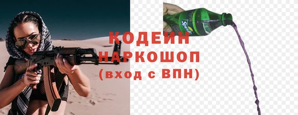 прущий лед Лиски
