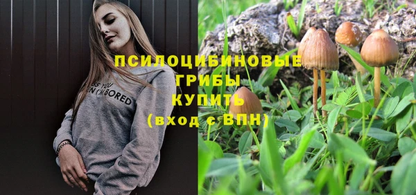 прущий лед Лиски