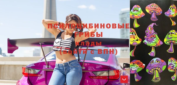 стафф Ладушкин