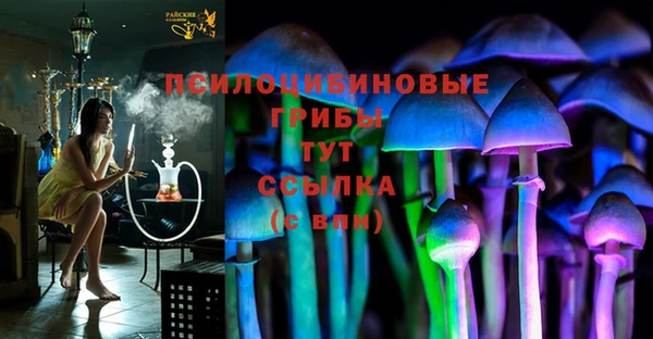 прущий лед Лиски